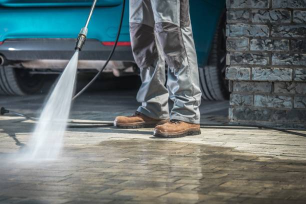 Best Building Exterior Washing  in Bloomingdale, FL