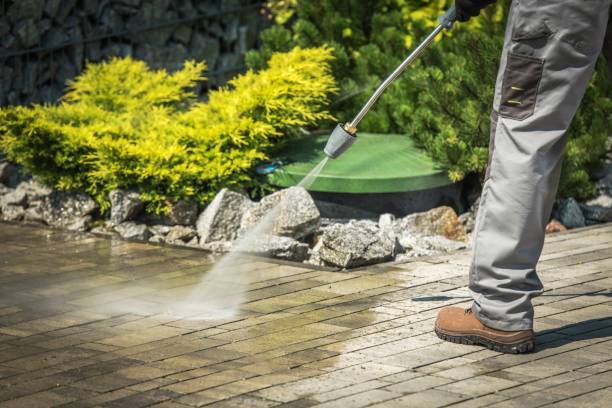Best Dumpster Area Cleaning  in Bloomingdale, FL