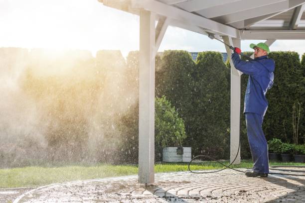 Best Fence Cleaning  in Bloomingdale, FL