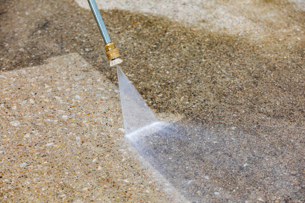 Best House Exterior Washing  in Bloomingdale, FL